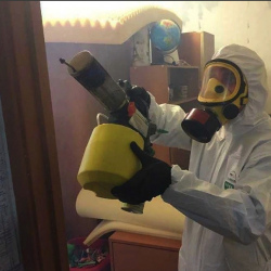Уничтожение клопов в квартире. Старая Ладога
